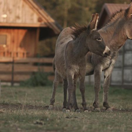 Tatarska Zagroda - Agroturystyka Dolina Baryczy Noclegi - Domek Jelonek Krosnice Екстериор снимка